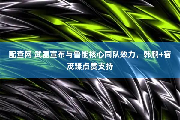 配查网 武磊宣布与鲁能核心同队效力，韩鹏+宿茂臻点赞支持