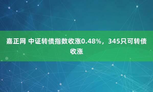 嘉正网 中证转债指数收涨0.48%，345只可转债收涨